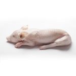 Cochinillo entero